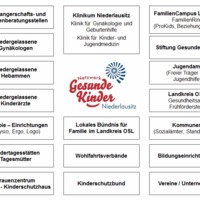 Grafik: Übersicht Partner im Niederlausitzer Netzwerk Gesunde Kinder